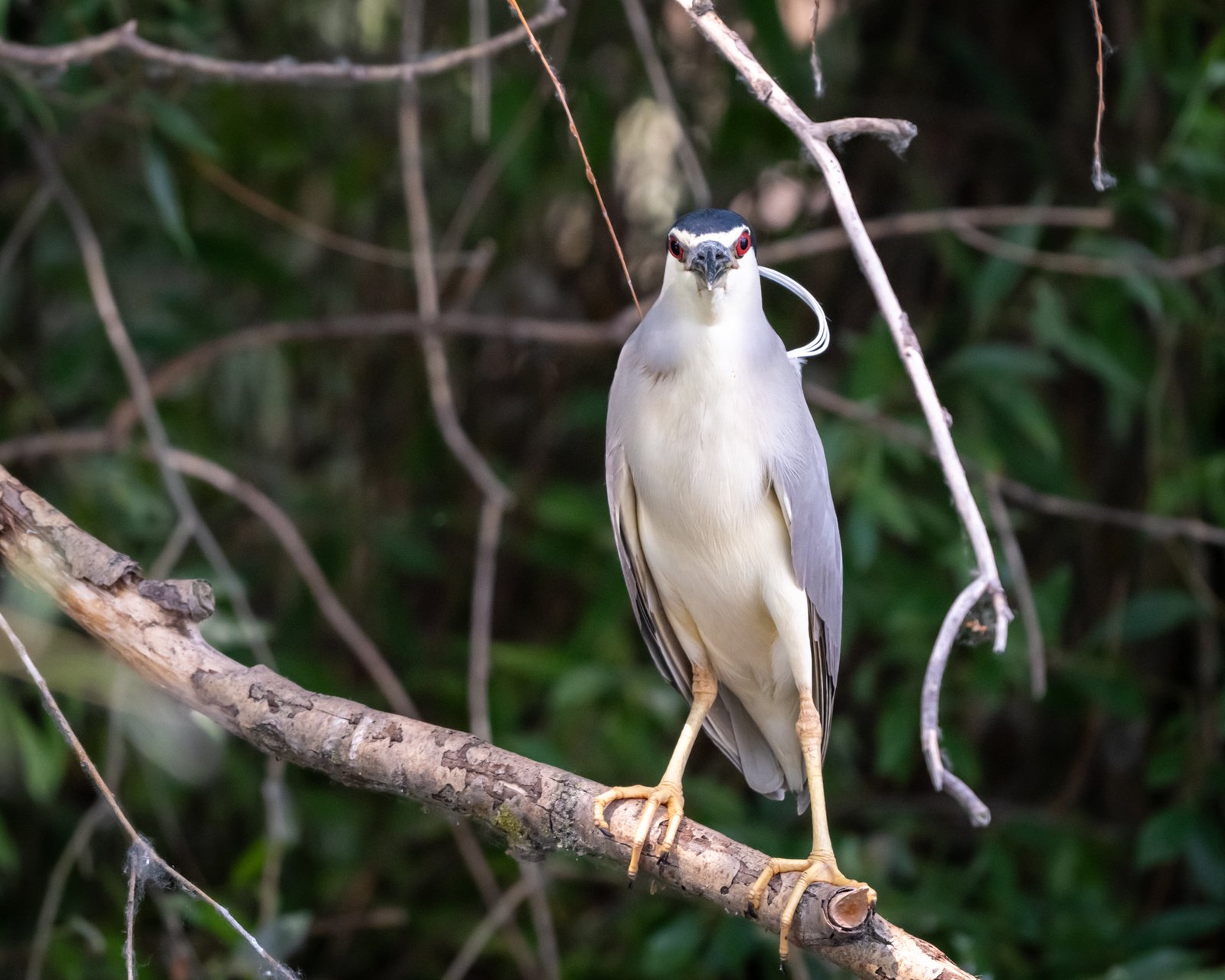 la pescuit in delta dunarii