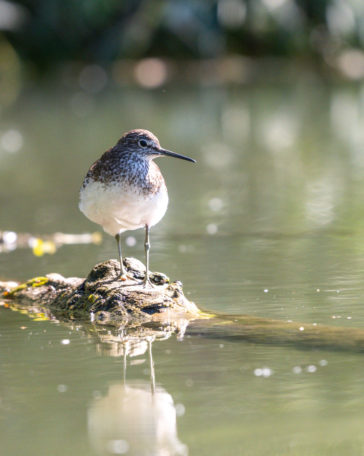 la pescuit in delta dunarii